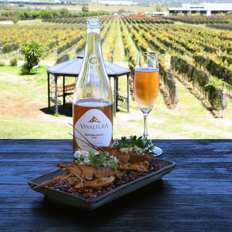Cheese and Wine Route