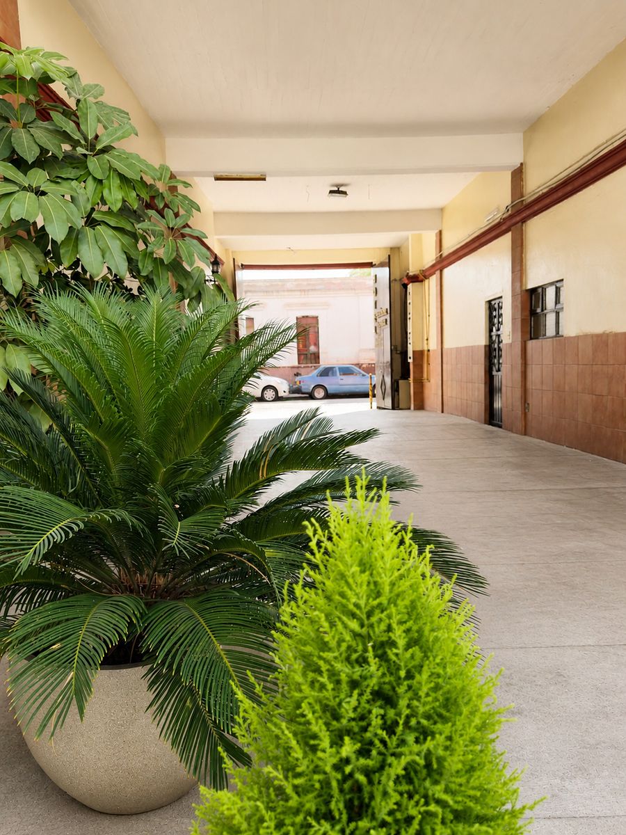 Green spaces